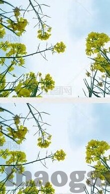 秘鲁和巴拉圭足球比分-南美双雄对决，秘鲁与巴拉圭足球比分背后的战术博弈与精神较量