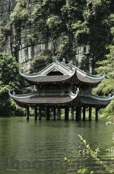 DSC足球比分-DSC足球比分，数字背后的激情与策略交响曲