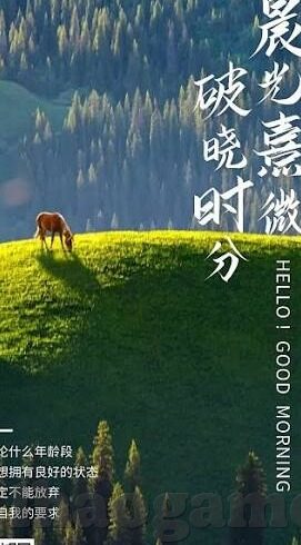 足球比分竞猜技术-足球比分竞猜技术全解析，从概率模型到实战策略的进阶指南